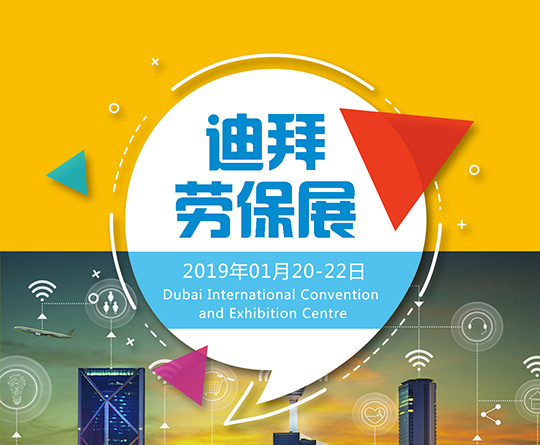 2019年中东（迪拜）安防展|行前通知